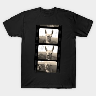 Funny vintage Love llama alpaca photo T-Shirt